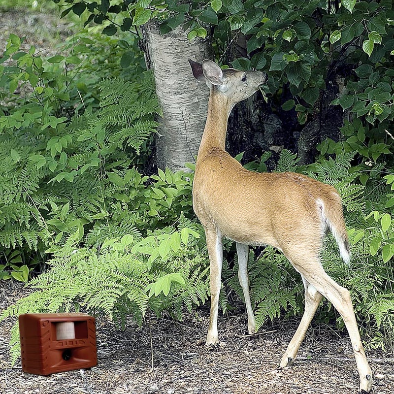 Bird-X Deer Gard, Ultrasonic and Motion-Activated Device to Mitigate Deer and Other Animals, Ideal for Outdoor Spaces, Easy to Install and Operate, Covers 4,000 sq. ft., 15â€“25 kHz Frequency Range - Image 2